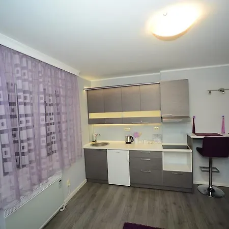 Belgrade Central Zone Apartments *