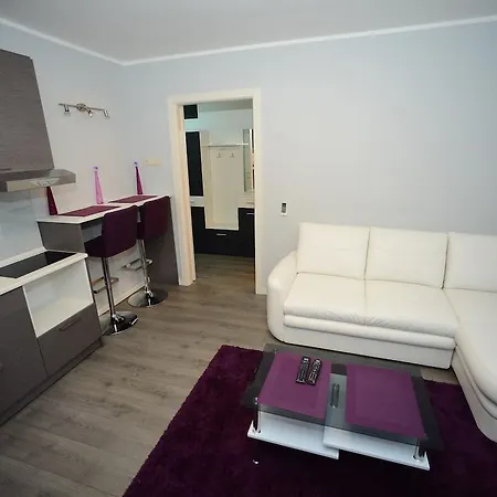 Apartment Belgrade Central Zone Apartments Belgrade