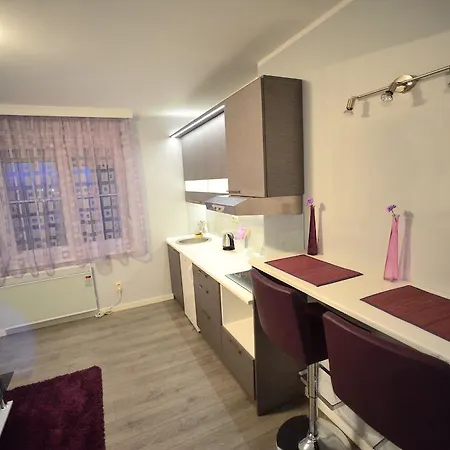 Apartment Belgrade Central Zone Apartments